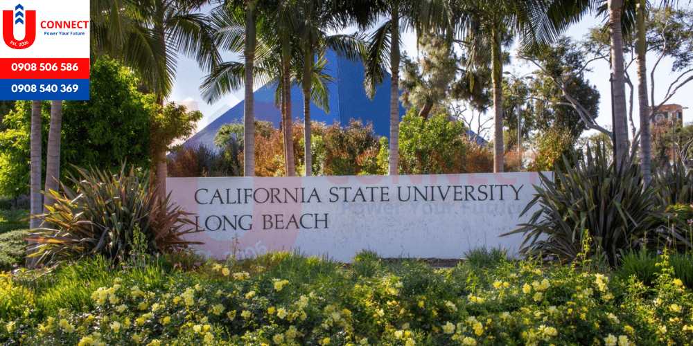 Đại học bang California, Long Beach , bang California - Mỹ